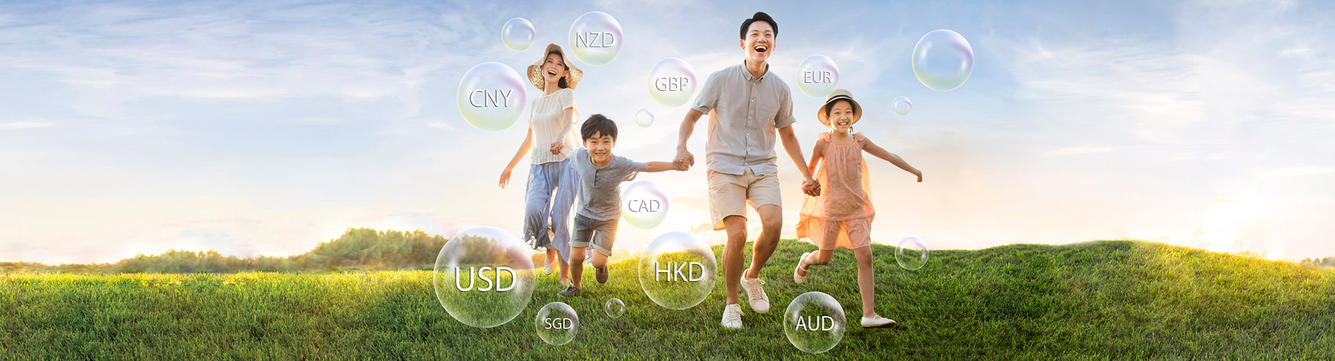 Wise Legend Multi-Currency Insurance Plan (Excel)