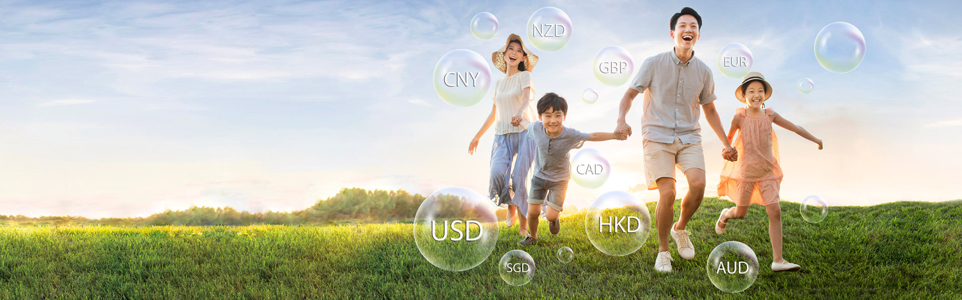 Wise Legend Multi-Currency Insurance Plan (Excel)