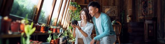 Comfort Life Deferred Annuity Plan
